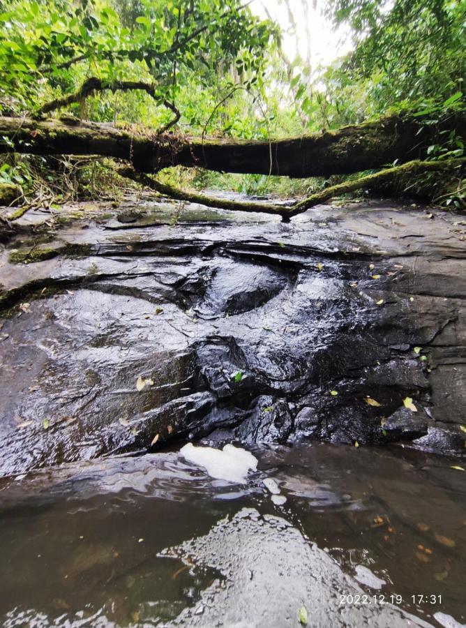 Willa Cabana, Lagoas E Natureza! Relvado Zewnętrze zdjęcie