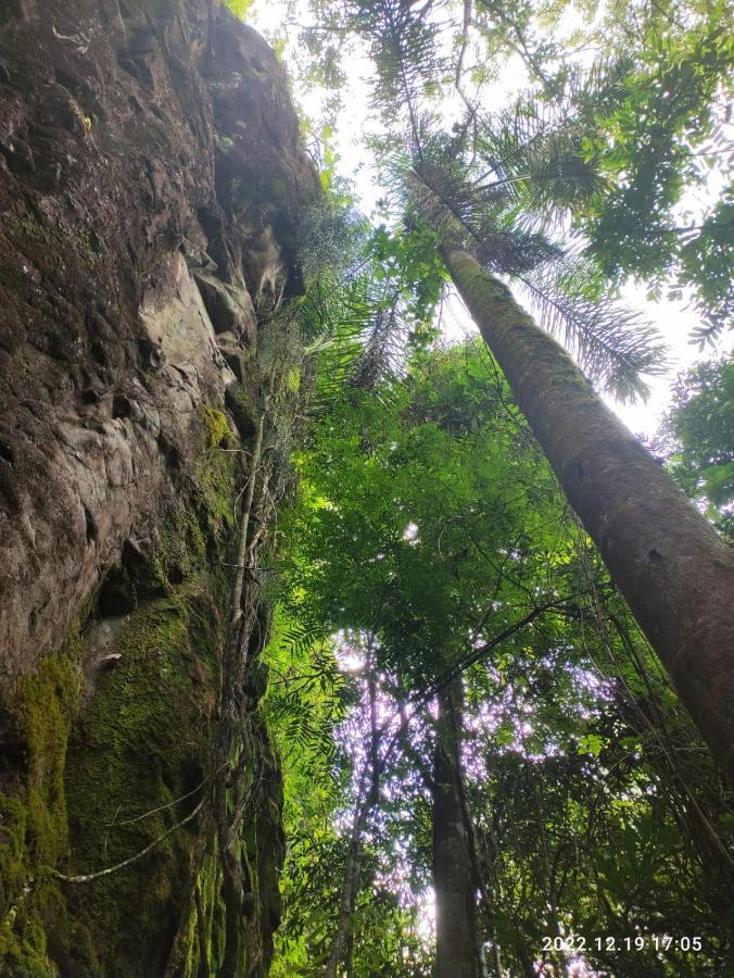 Willa Cabana, Lagoas E Natureza! Relvado Zewnętrze zdjęcie