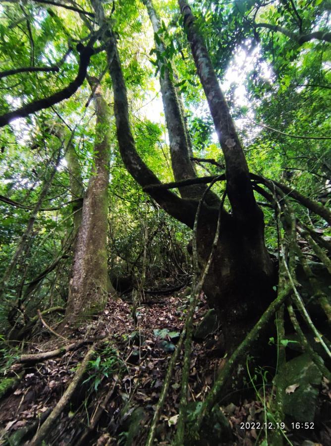 Willa Cabana, Lagoas E Natureza! Relvado Zewnętrze zdjęcie