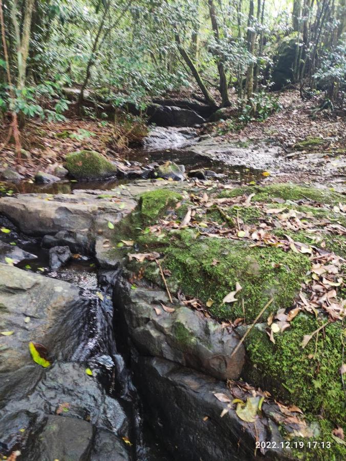 Willa Cabana, Lagoas E Natureza! Relvado Zewnętrze zdjęcie